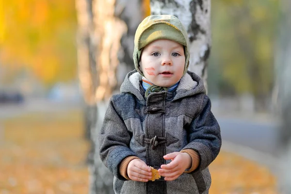 Küçük çocuk sonbaharda ağacın yanında ayakta — Stok fotoğraf