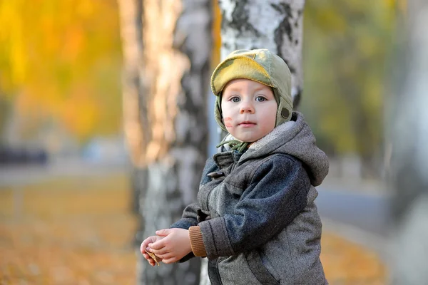 Küçük çocuk sonbaharda ağacın yanında ayakta — Stok fotoğraf