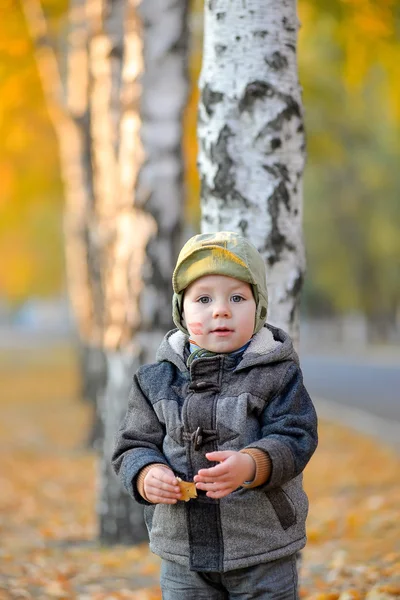 Menino de pé perto da árvore no outono — Fotografia de Stock