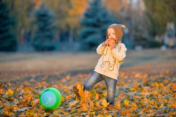 Cheerful kid with an apple in the fall — Stock Photo, Image