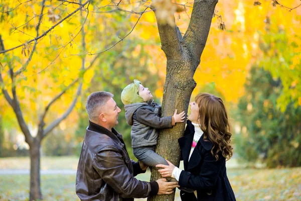 Mom and dad playing with his son in the park — 스톡 사진