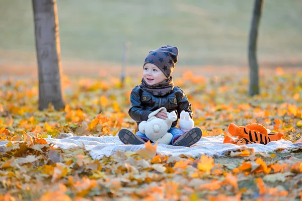 Parkta oturan bebek. — Stok fotoğraf