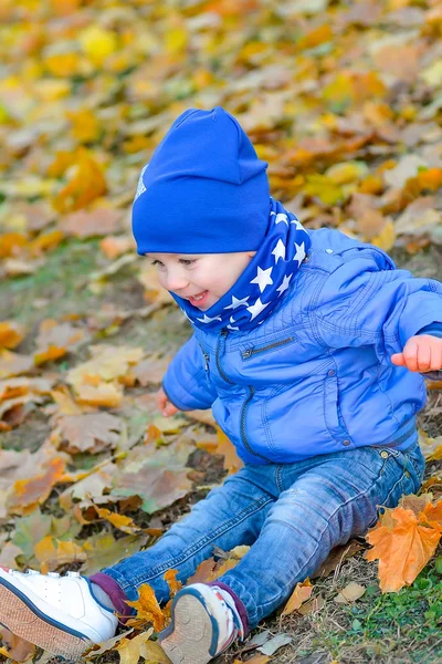 Kid sitting in the yellow leaves in the park — Stock Photo, Image