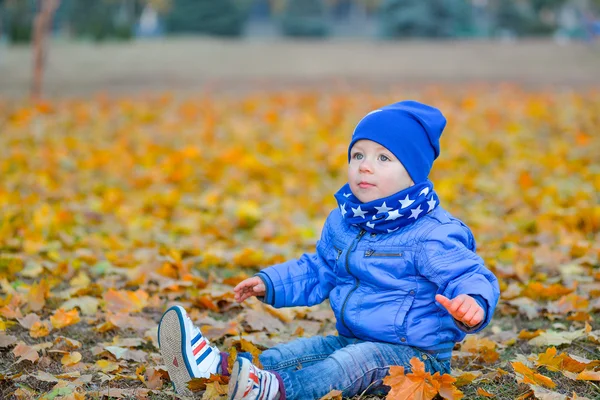Kid sitting in the yellow leaves in the park — Stock Photo, Image