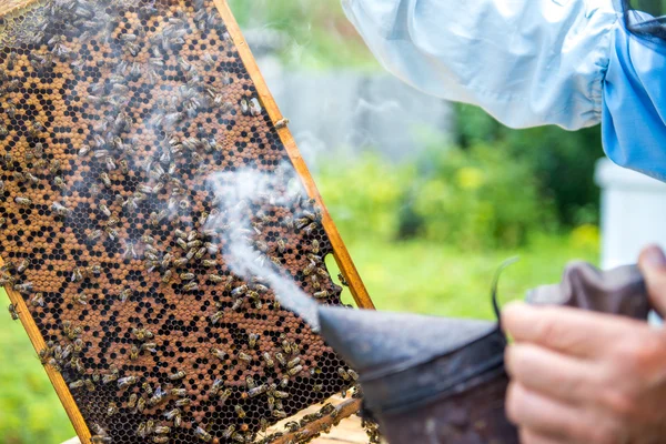 Der Imker kontrolliert den Bienenstock — Stockfoto