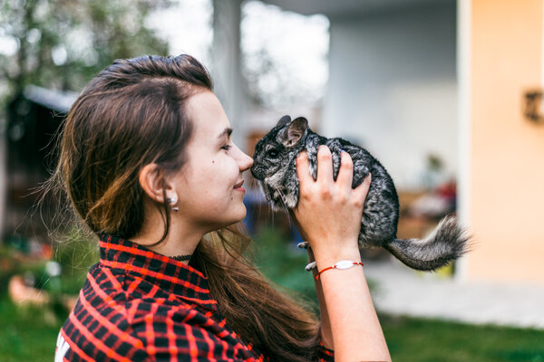 Girl playing with her chinchilla Stock Photo