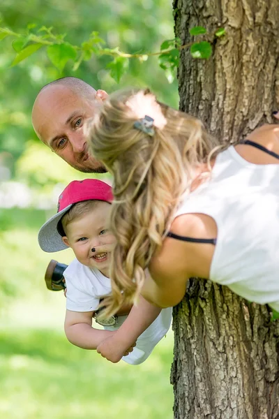 Familie wandelen in het park in de zomer. — Stockfoto