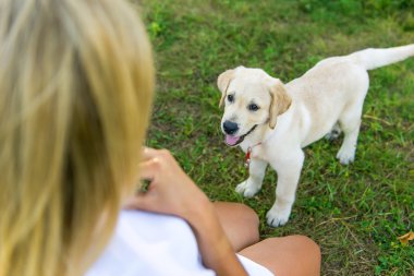 bir kızla yürüyen köpek