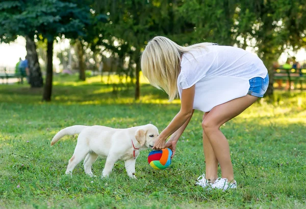 Perro caminando con una chica — Foto de Stock