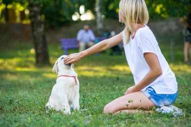 Bir köpek yavrusu labrador ile oynarken güzel kız.