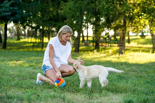 Mooi meisje speelt met een labrador pup. — Stockfoto