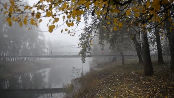 Herfstpark Een Brug Een Riviertje Mist Ochtend Herfst Landschap Mistige — Stockvideo