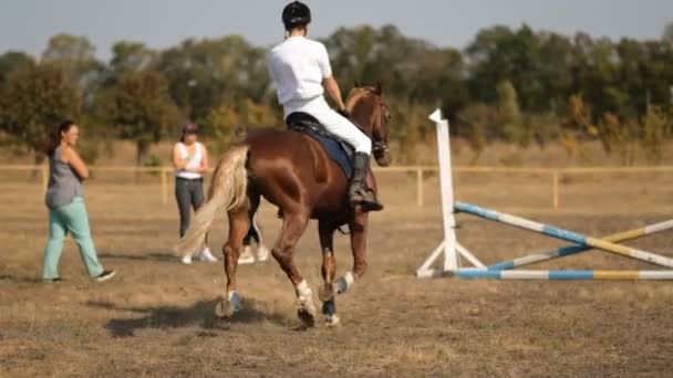 Cavaleiro Treina Antes Uma Competição Saltos Esporte Equestre Show Jumping — Vídeo de Stock