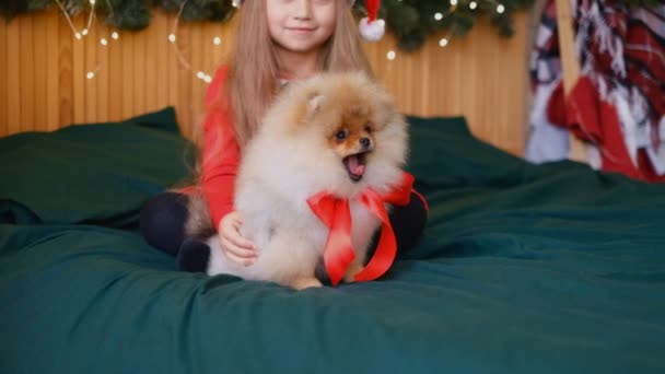 Mooi Meisje Santa Hoed Kreeg Een Puppy Als Geschenk Voor — Stockvideo