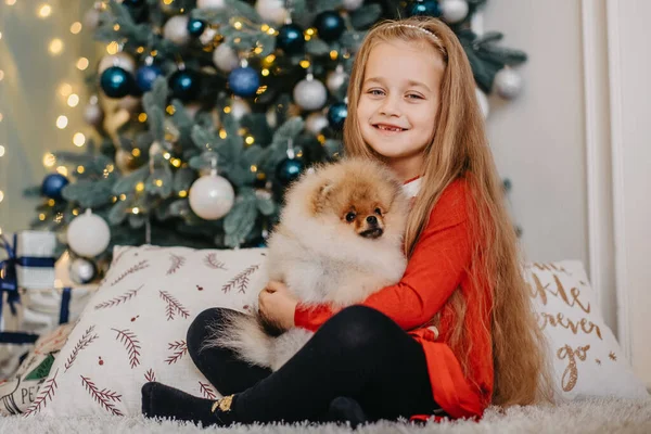 Счастливая Девушка Позирует Милым Щенком Рождественская Елка Заднем Плане Долгожданный — стоковое фото