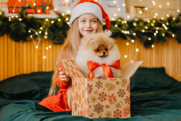 Beautiful Girl Santa Hat Got Puppy Present New Year Christmas — Stock Photo, Image