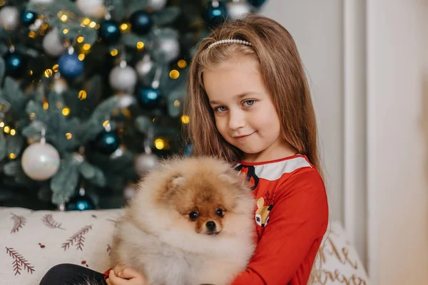 Chica Feliz Posando Con Lindo Cachorro Árbol Navidad Fondo Muy —  Fotos de Stock