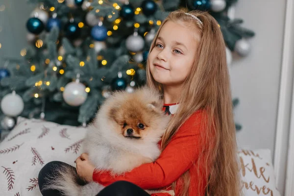 Chica Feliz Posando Con Lindo Cachorro Árbol Navidad Fondo Muy —  Fotos de Stock