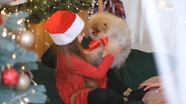Chica Feliz Posando Con Lindo Cachorro Árbol Navidad Fondo Muy — Vídeos de Stock