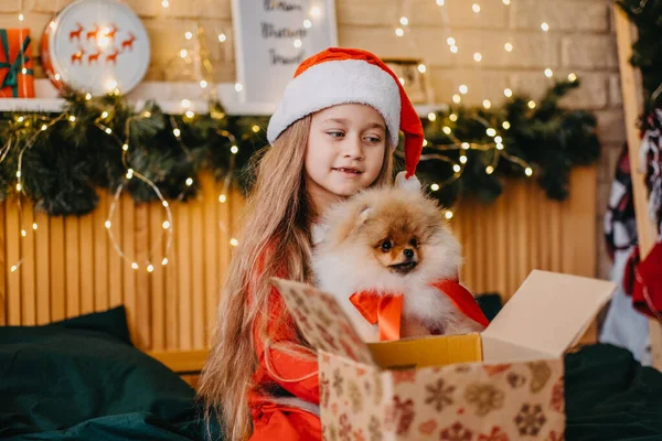 Beautiful Girl Santa Hat Got Puppy Present New Year Christmas — Stock Photo, Image