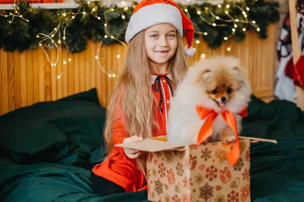 Девочка Шляпе Санта Клауса Получила Щенка Подарок Новый Год Рождество — стоковое фото