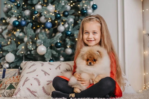 Chica Feliz Posando Con Lindo Cachorro Árbol Navidad Fondo Muy —  Fotos de Stock