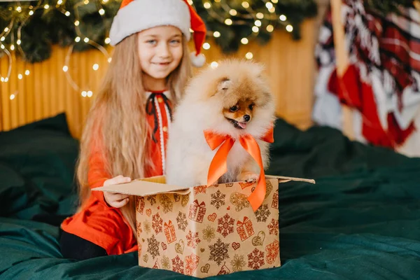 Девочка в шляпе Санта-Клауса получила щенка в подарок на Новый год, Рождество и волшебство, мечты сбываются — стоковое фото