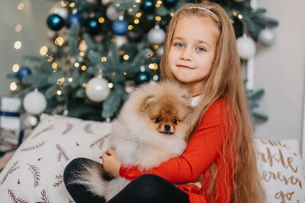 Счастливая девушка позирует с милым щенком, рождественская елка на заднем плане, долгожданный пушистый подарок, радость — стоковое фото