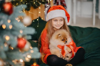 Noel için bir hoş geldin hediyesi Pomeranya köpeği. Sevimli küçük bir kız Noel hediyesi olarak bir köpek yavrusu aldı. Hediyenin keyfi. Mutlu çocuk.