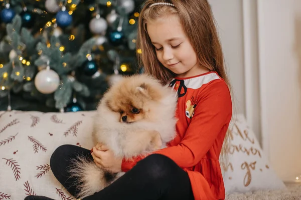 Счастливая девушка позирует с милым щенком, рождественская елка на заднем плане, долгожданный пушистый подарок, радость — стоковое фото