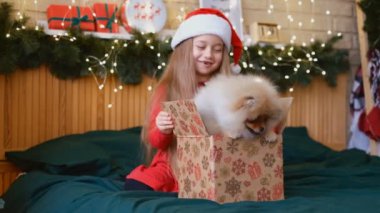 Noel Baba şapkalı güzel kız yeni yıl hediyesi olarak bir köpek yavrusu aldı, Noel büyüsü ve mucize, hayaller gerçek oldu.