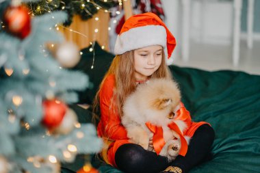 Noel için bir hoş geldin hediyesi Pomeranya köpeği. Sevimli küçük bir kız Noel hediyesi olarak bir köpek yavrusu aldı. Hediyenin keyfi. Mutlu çocuk.