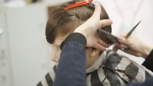 Haarschnitt Eines Kindes Einem Friseursalon Professioneller Haarschnitt Für Kinder Friseursalon — Stockvideo