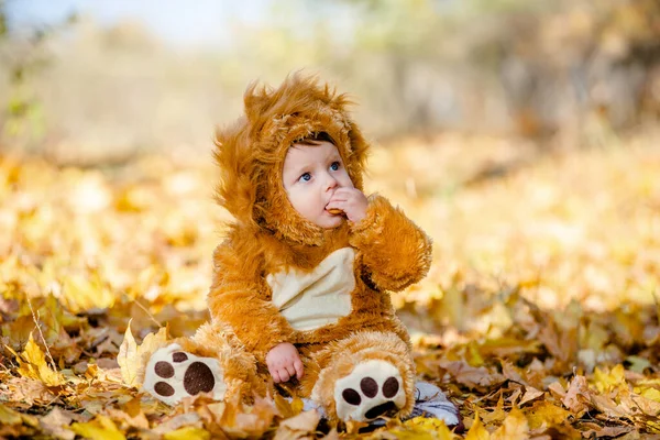 Aslan kostümlü çocuk parktaki sarı sonbahar yapraklarında oynuyor. Çocuğun neşeli ve mutlu bir çocukluğu..