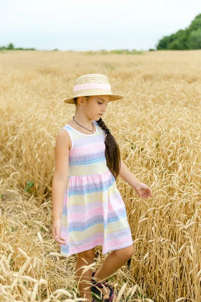一个戴着草帽的小女孩穿过麦田，用手抚摩麦穗. — 图库照片
