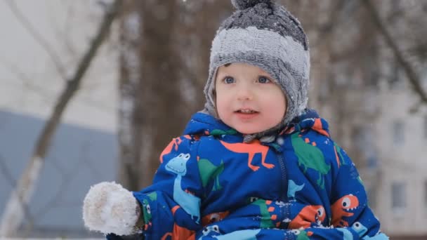 67 vídeos de Bebé mono nieve, metraje de Bebé mono sin royalties | Depositphotos