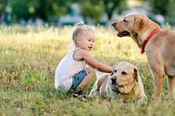 Petite fille joue avec un labrador dans le parc. — Photo