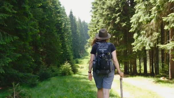 Aktiv Kvinnlig Turist Ung Kvinnas Resa Till Bergen Aktiv Och — Stockvideo