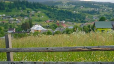 Dağlarda akşam manzarası. Dağdan Alp köyü manzarası. Karpatlar 'da yaz dağı manzarası.