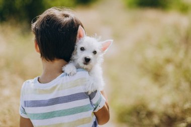 Köpeği olan bir çocuğun arkadaşlığı. Kollarında West Highland White Terrier köpeği tutan mutlu çocuk. Çocuk yazın köpek yavrusuyla parkta yürür. Çocuğun doğadaki en sevdiği köpek..