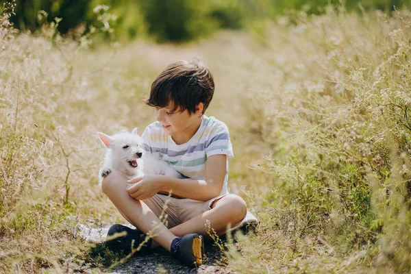 Egy Gyerek Barátsága Egy Kutyával Boldog Fiú Egy West Highland — Stock Fotó