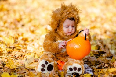 Aslan kostümlü çocuk parktaki sarı sonbahar yapraklarında oynuyor. Çocuğun neşeli ve mutlu bir çocukluğu..