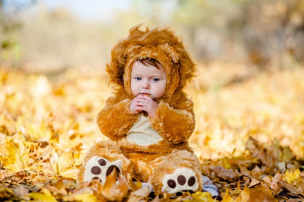Kid Traje Leão Joga Nas Folhas Outono Amarelas Parque Infância — Fotografia de Stock