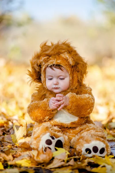 Kid Traje Leão Joga Nas Folhas Outono Amarelas Parque Infância — Fotografia de Stock