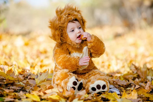Aslan Kostümlü Çocuk Parktaki Sarı Sonbahar Yapraklarında Oynuyor Çocuğun Neşeli — Stok fotoğraf