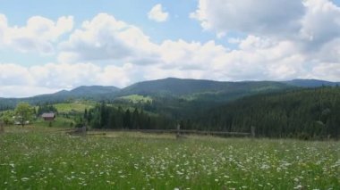 Dağlarda akşam manzarası. Dağdan Alp köyü manzarası. Karpatlar 'da yaz dağı manzarası.