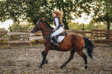 Genç ve güzel bir kadın jokey bir gösteri atlama yarışmasına hazırlanıyor. Bir kadın binici kahverengi bir yarış atı sürüyor. Kadın jokey ata biniyor.