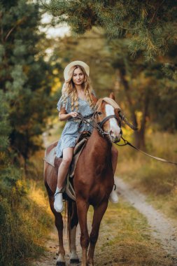Genç ve güzel bir kadın sonbaharda ormanda ata biner. Sonbaharda akşamları ata binmek. At yarışı sporu için çiftlikte at yetiştiriyorum..