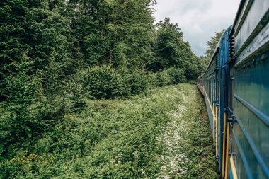 Yazın trenle dağlara seyahat et. Tren penceresinden manzara çok güzel. Yaz tatili dağlarda.