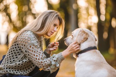 İki sevimli suluboya Pembroke Welsh Corgis, büyük kulakları ve anlamlı gözleri var. Şirin, hayat dolu, evcil hayvan portresi köpek severler ve rahat tasarımlar için mükemmel.